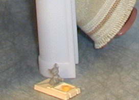 Maus