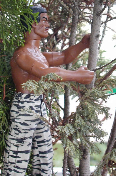 Joe