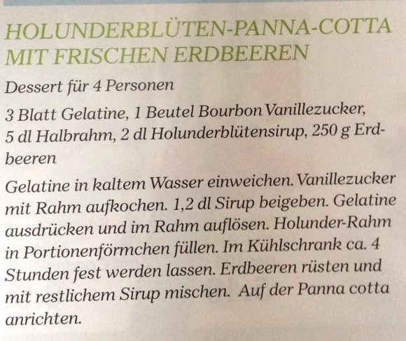 PANNACOTTA HOLUNDER